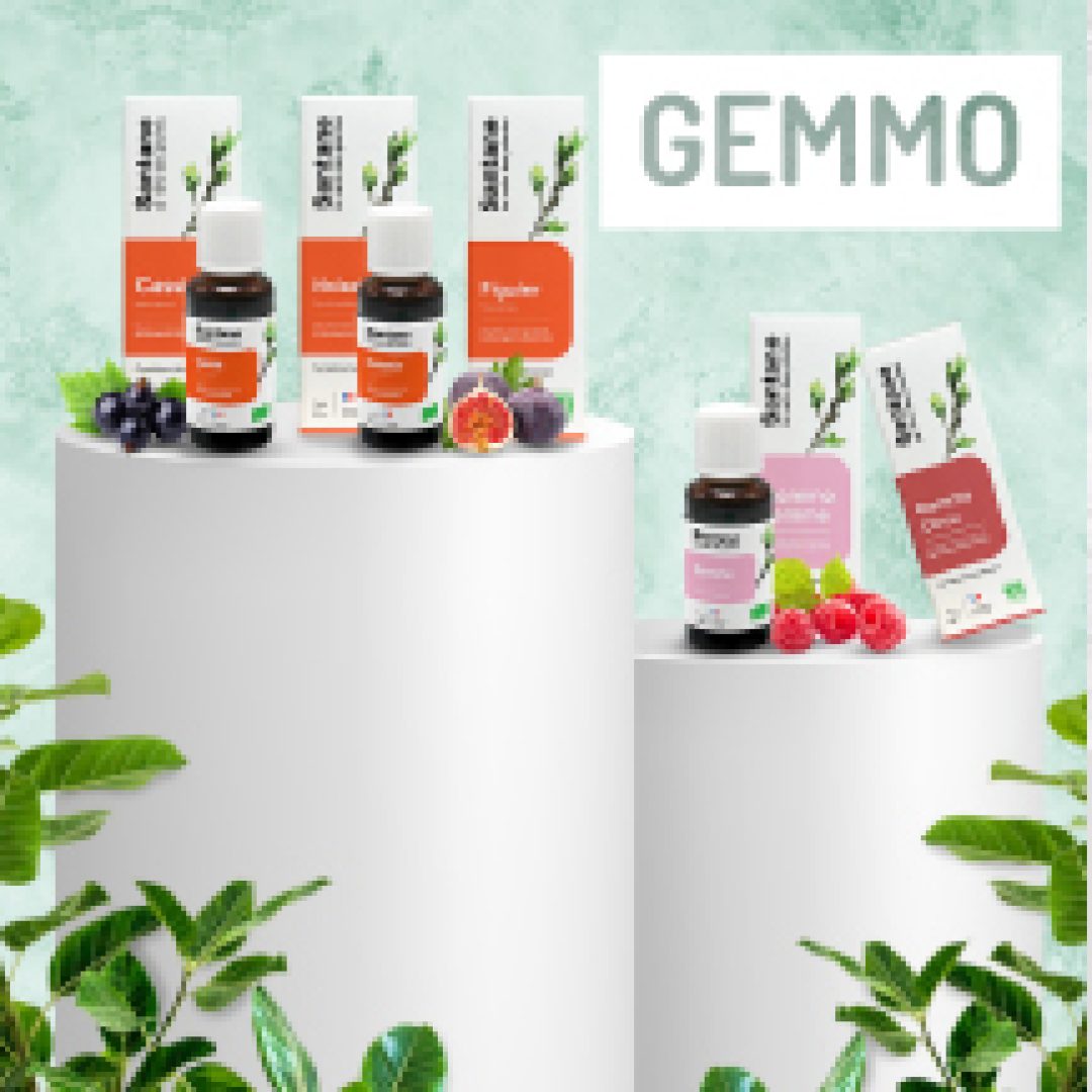 gamme gemmo